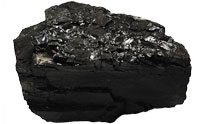 Possible Human Artifact Found in Coal