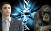 Genetic Recombination Study Defies Human-Chimp Evolution