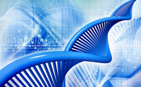 Novel 'Junk DNA' Sequences Jumpstart Protein Production