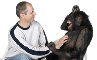 Epigenetic Study Produces 'Backwards' Human-Ape Tree