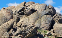 The Oldest American Petroglyphs