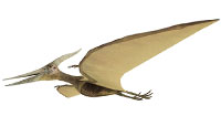Pterosaur Revolution Confirms Creation