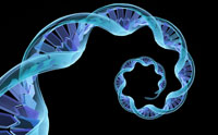 Circular Intronic RNAs Defy Junk DNA Dogma