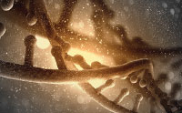 ‘smORFs’: Functional Little Genome Gems Confront Evolution