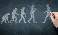 Best Creation News of 2013: Human Origins