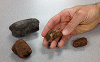 Digging Into a Fossil Outhouse