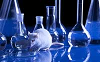 Mouse Study Shows ‘Junk DNA’ Is Actually Required