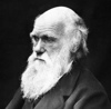 The Theological and Geological Influences on Darwin