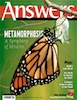 Answers spring sneak peek: Questions about Metamorphosis? Get <i>Answers</i>!