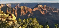 Biblically Based Tours Come to the South Rim of the Grand Canyon