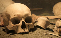 Human Remains in Spain: Neandertal or Not?