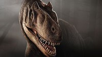 Allosaurus: A Creationist’s Best Friend