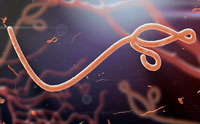 Did God Make the Ebola Virus?