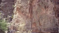 The Petrology of the Coconino Sandstone (Permian), Arizona, USA