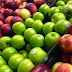 USDA Approves Genetically Modified Apple Despite Health and Contamination Concerns