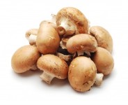 Beginner’s Guide to Edible Mushrooms as Medicine