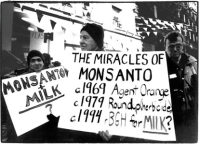 Monsanto’s Deep Legacy of Corruption and Cover-Up