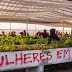 Brazilian Farmers Occupy and Cancel Approval Meeting for GMO Trees