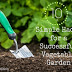 10 Simple Hacks for a Successful Vegetable Garden