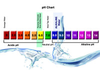 Which Promotes Healing — Drinking Alkaline Water or Eating an Alkaline Diet?