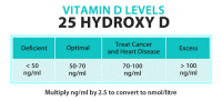 Four Important Fat-Soluble Vitamins