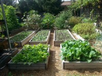 Photos: How to Produce 6,000 Pounds of Food in Small Spaces