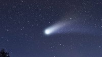 The Blurring Distinction between Asteroids and Comets