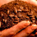 How used coffee grounds could make some food more healthful