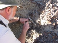 Dig for Dinosaur Fossils with Buddy Davis!