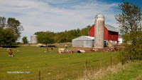 Oregon govt. extorts grass-fed ranchers after stealing their livestock in attempt to kill local agriculture