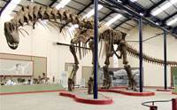 Britain’s ‘Oldest’ Sauropod and a Jurassic World