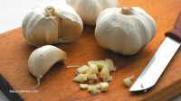 Prevent artery hardening and calcium buildup with aged garlic