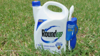 ‘Glyphosate is definitely genotoxic,’ declares WHO scientist who authored Roundup cancer study