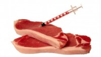 Why is Meat a Risk Factor for Diabetes?