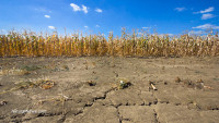 Statist-leaning California headed toward third-world region amid continuing megadrought