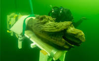 Sea Serpent on Danish Ship Prow