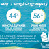 Great Reasons To Stop Buying Disposable Water Bottles Today (w/infographic)