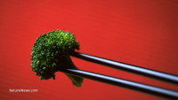 Broccoli extract found to significantly improve autism symptoms; sulforaphane molecule is powerful natural medicine