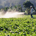 Monsanto’s Cancer Causing Herbicide Doesn’t Even Work, Actually Makes Weeds Stronger: Report