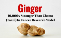 Ginger: 10,000x Stronger Than Chemo (Taxol) In Cancer Research Model