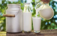 Is Whole Milk Dairy Better Than Low Fat?