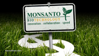 Study shows Monsanto’s Bt toxin kills human embryo cells