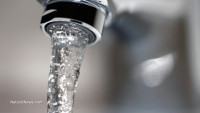 Why don’t dentists promote adding ARSENIC to the water alongside FLUORIDE? They’re both ‘naturally occurring,’ after all