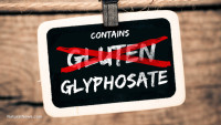 Your GLUTEN problem may actually be caused by GLYPHOSATE