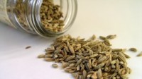 Fennel Seeds for Menstrual Cramps and PMS