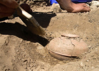 800-Year Old Extinct Squash Grown from Heirloom Seed Resurrected