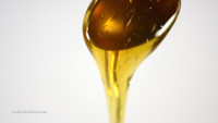 Organic maple syrup a superfood? Sticky sweet liquid is packed with natural compounds known to prevent disease