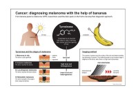 VIDEO: This is How Banana Peels Could Help Detect Cancer Non-Invasively