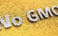 New Study: GMO Crop Contamination Spreading