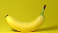 Latest Bill Gates GMO mad science scheme: paying students $900 to be human experiments for genetically modified bananas